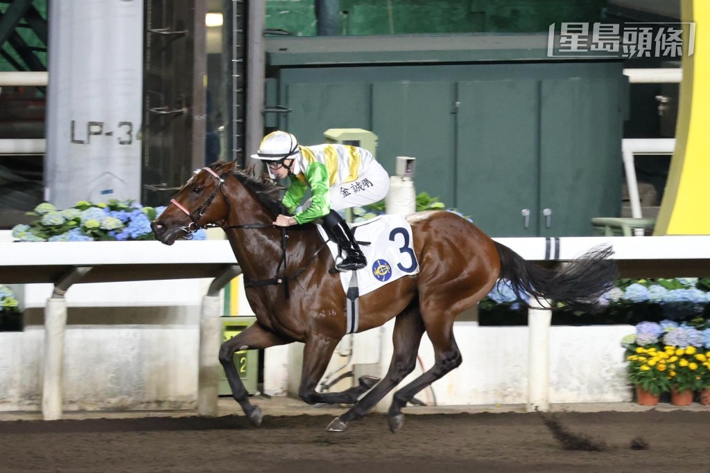 周六姒廄參戰馬中最有贏面當數「扶搖勢勁」(圖),初出輕勝締佳速,上仗重磅僅負雖敗猶榮。 周六姒廄參戰馬中最有贏面當數「扶搖勢勁」(圖),初出輕勝締佳速,上仗重磅僅負雖敗猶榮。