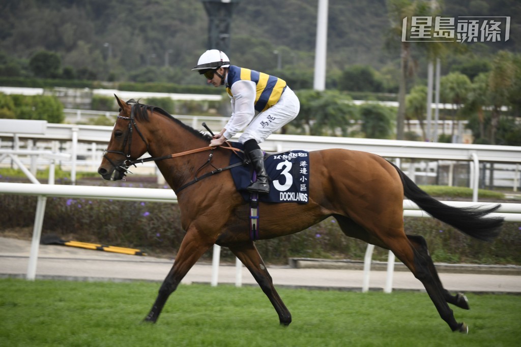 該駒練馬師游孝廉表示，「港邊小區」(圖) 向來演出穩定，今次復出亦順利取得佳績，演出令他滿意；此駒將按原定計劃來港，競逐下月二十六日沙田馬場舉行的冠軍一哩賽。