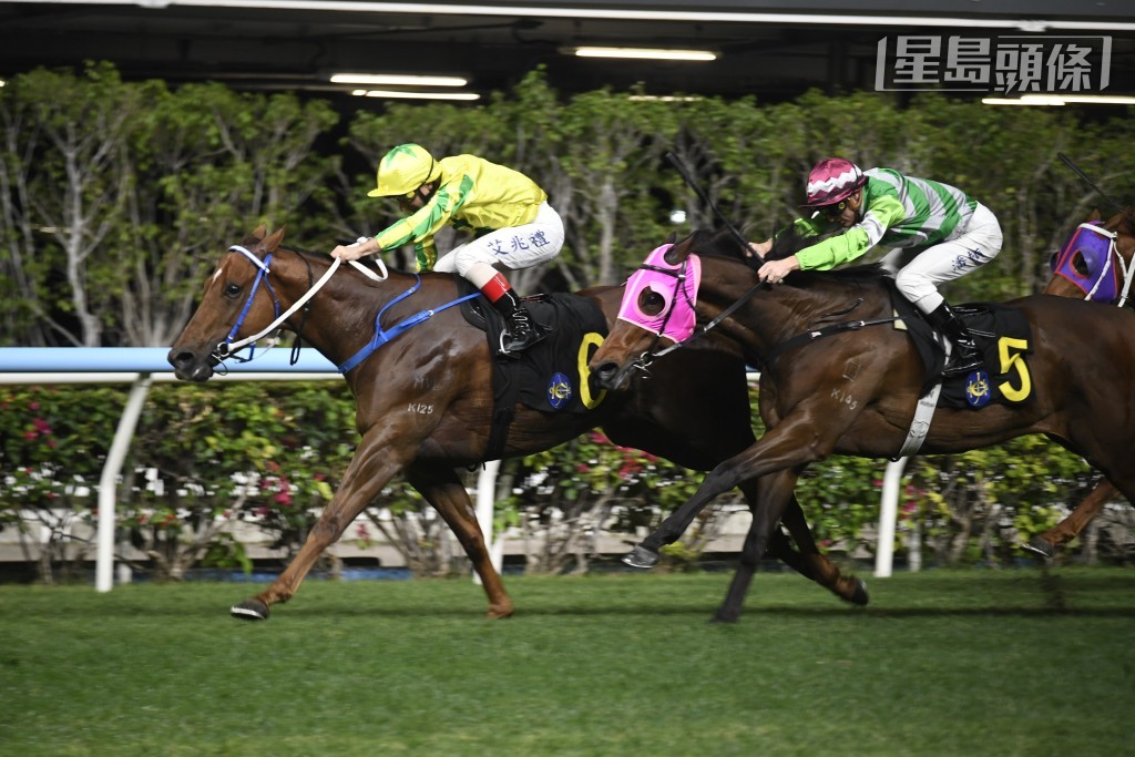 方廄的「富心星」(圖) 易配艾兆禮勝出愛爾蘭錦標。