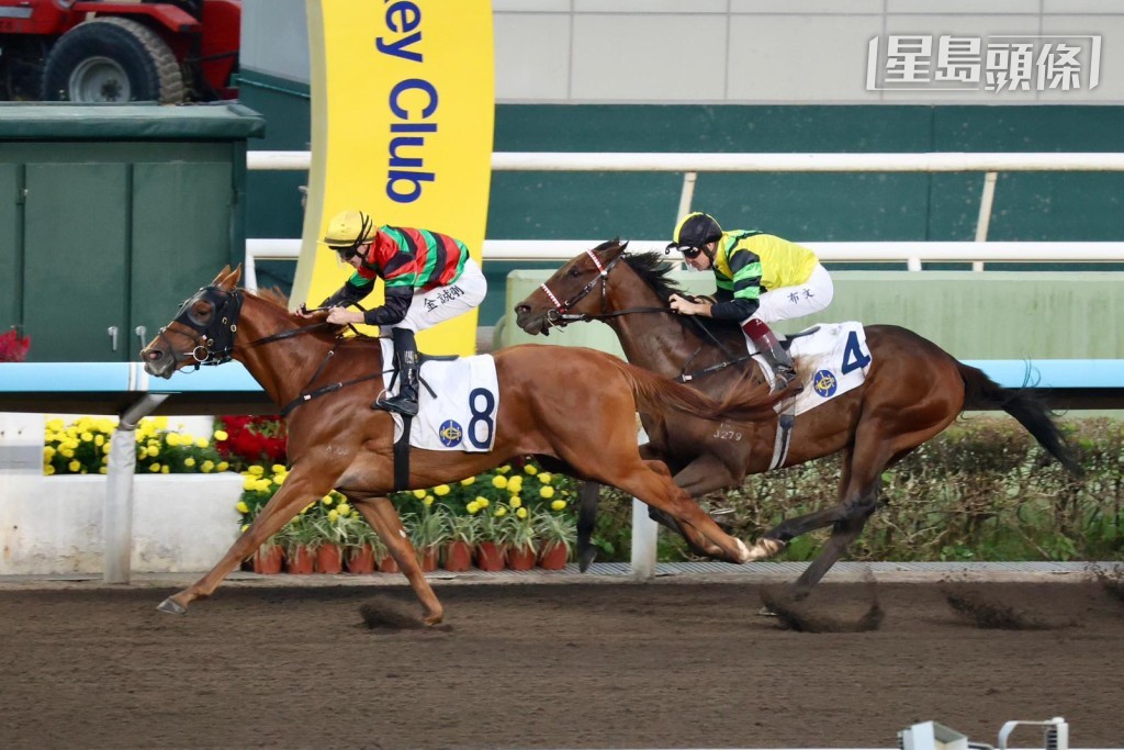 方力申和「將」系好友張舜清、「波」系馬主蘇振雄及其兒子蘇志康等好朋友組成七俠五義團體，養有三匹「將」系馬，其中「將睿」(圖) 本周三晚泥地將出賽。