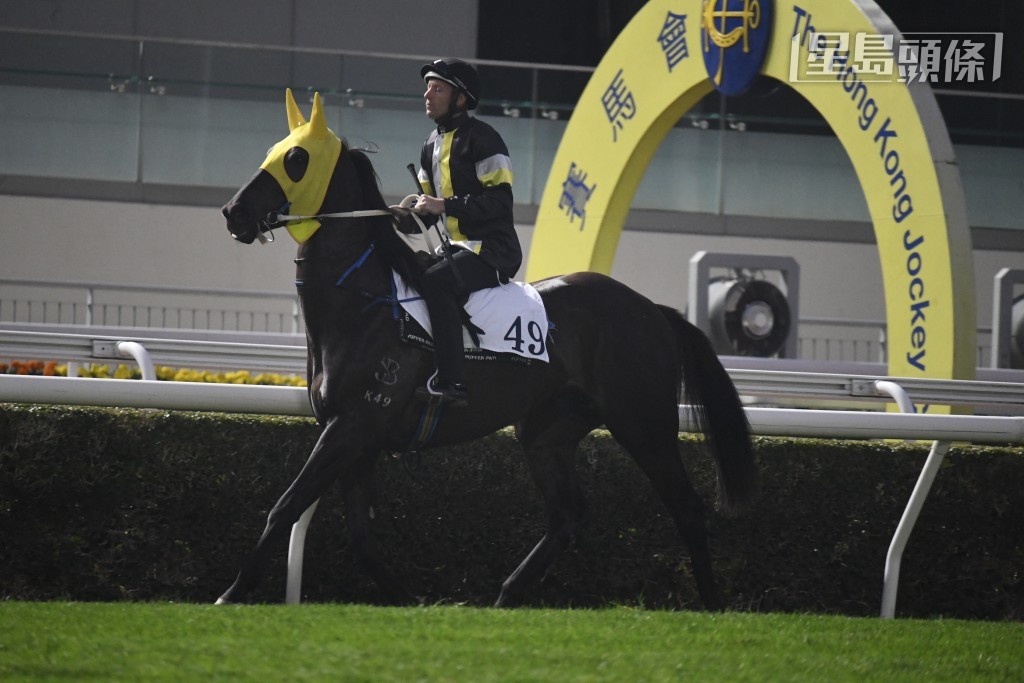 「後無來者」近兩戰泥地同程均跑入前五名有獎金收，方嘉柏部署此馬再攻同程，全力補中。