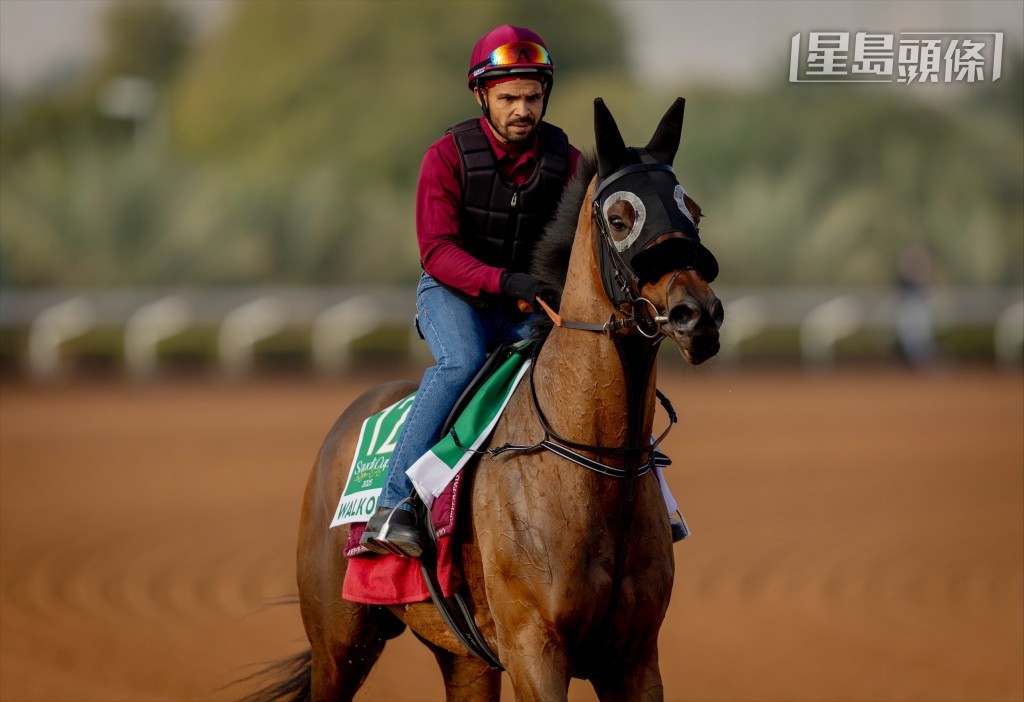 「星大道」(圖) 上月以佳勢攻下麥通挑戰賽（1900米一級賽，泥地），打開一級賽勝門。