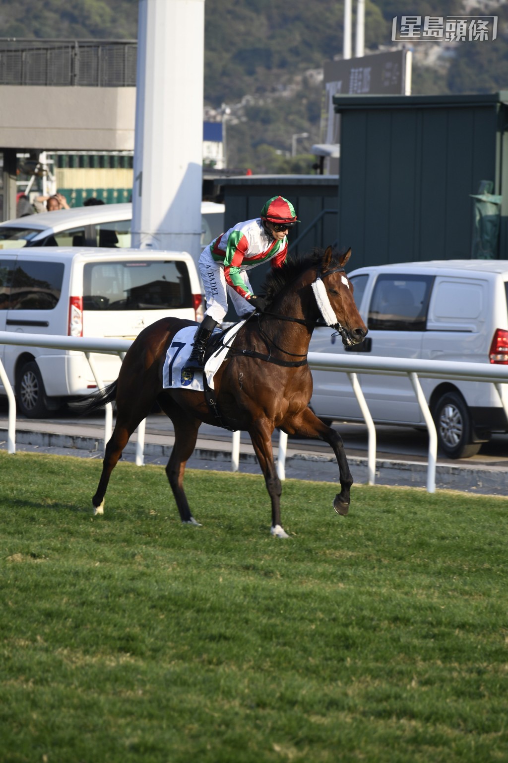 馬主何駿杰的父親Adam Bin Hassan名下的「實力加」則跑第八場。