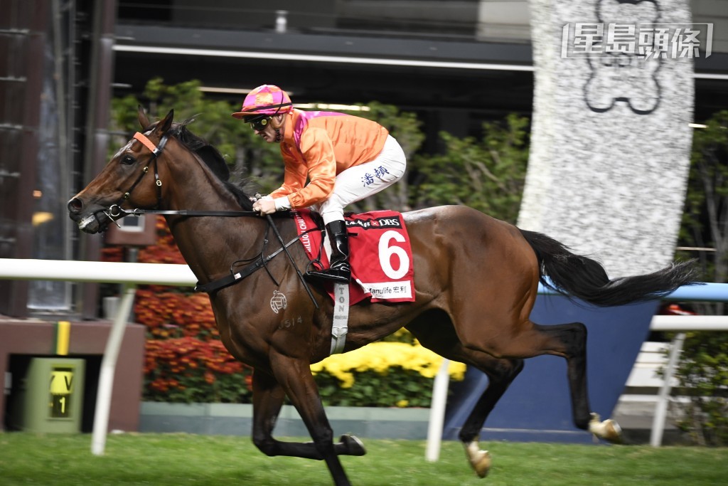 「劲沙尘」今次卷土重来，潘顿唔放手，排五档有利，大有机会收复前失。