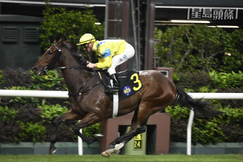 如果「晨曦儷人」今戰順利取得連捷，梁浩然可以補拉頭馬，對於馬主來說，實屬美事。