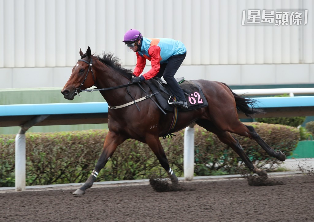 「嘉應高昇」在今晨（11月14日星期五）的試閘中拋離對手率先衝線。