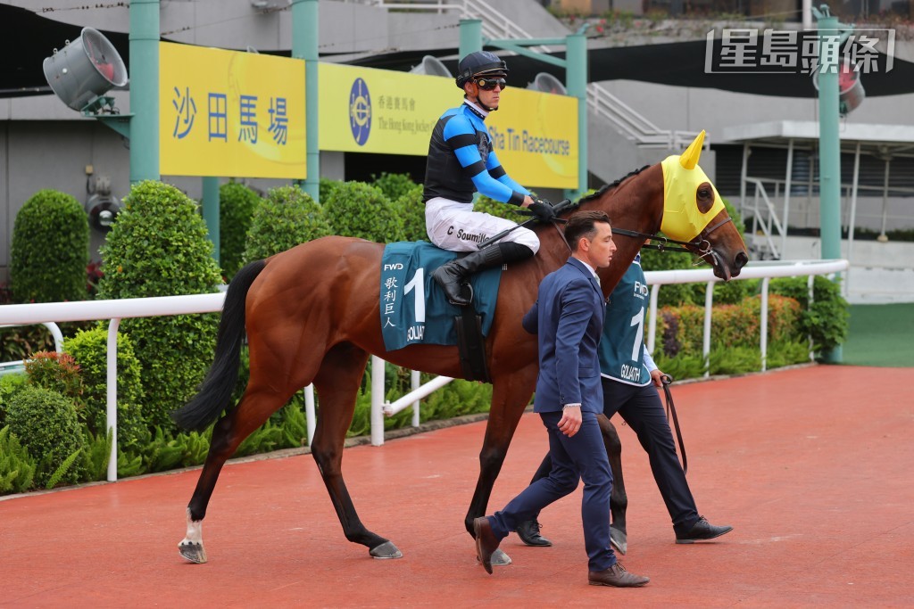 「歌利巨人」將於今年第二度來港參賽。