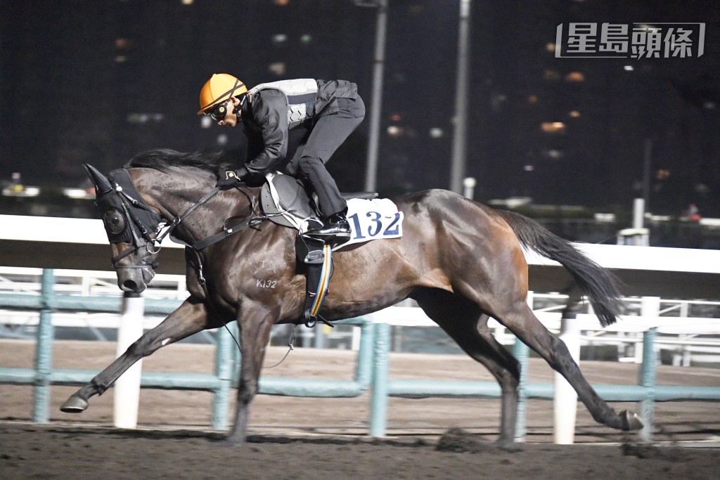 「團結戰靈」神情專注目光如炬，比前更進一步。