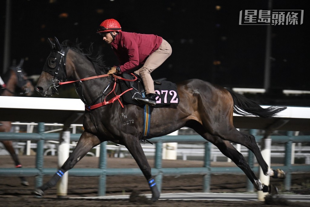 潘頓同何澤堯有排唞，兩人的寶藏紛紛易配，今戰希威森成為受惠者之一，分別接手二人的「元朗精英」(圖) 和「超越夢想」。