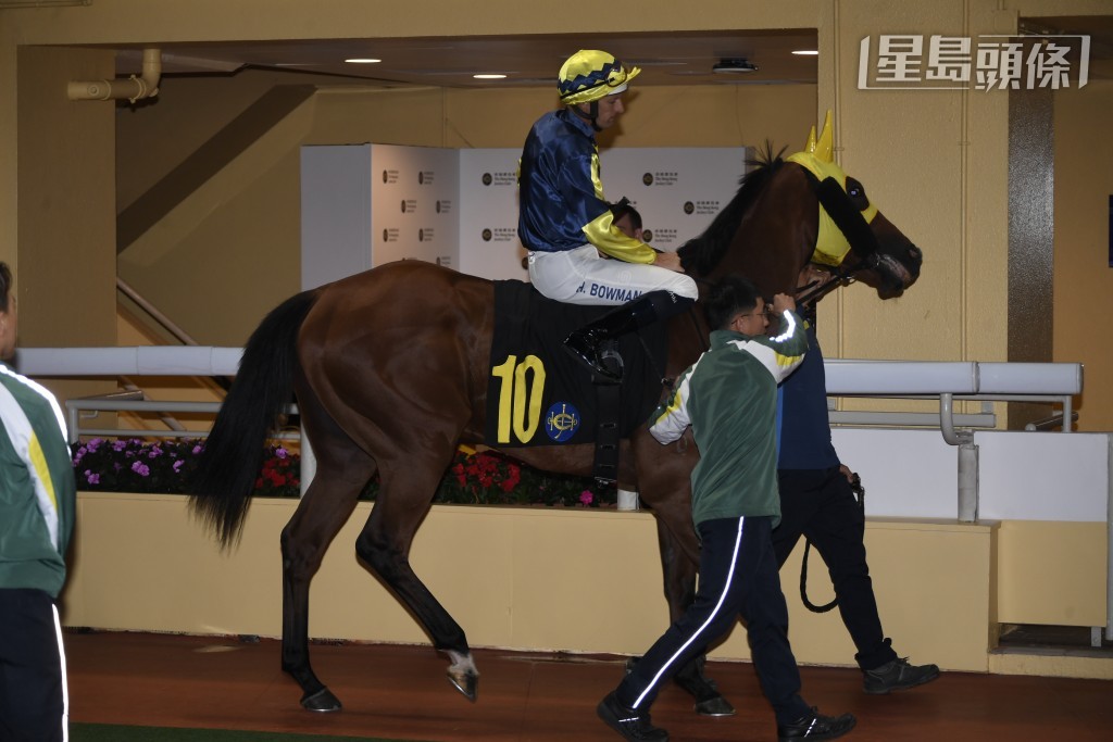 其總成績為二十一戰三冠三亞七季，勝出率14.3%，而上名率則有62%，元旦日「同喜」(圖) 成績如何？