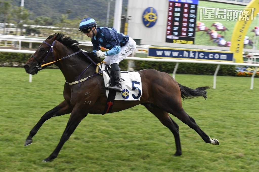 第六場「中環精英」初跑谷草，能否找得突破？