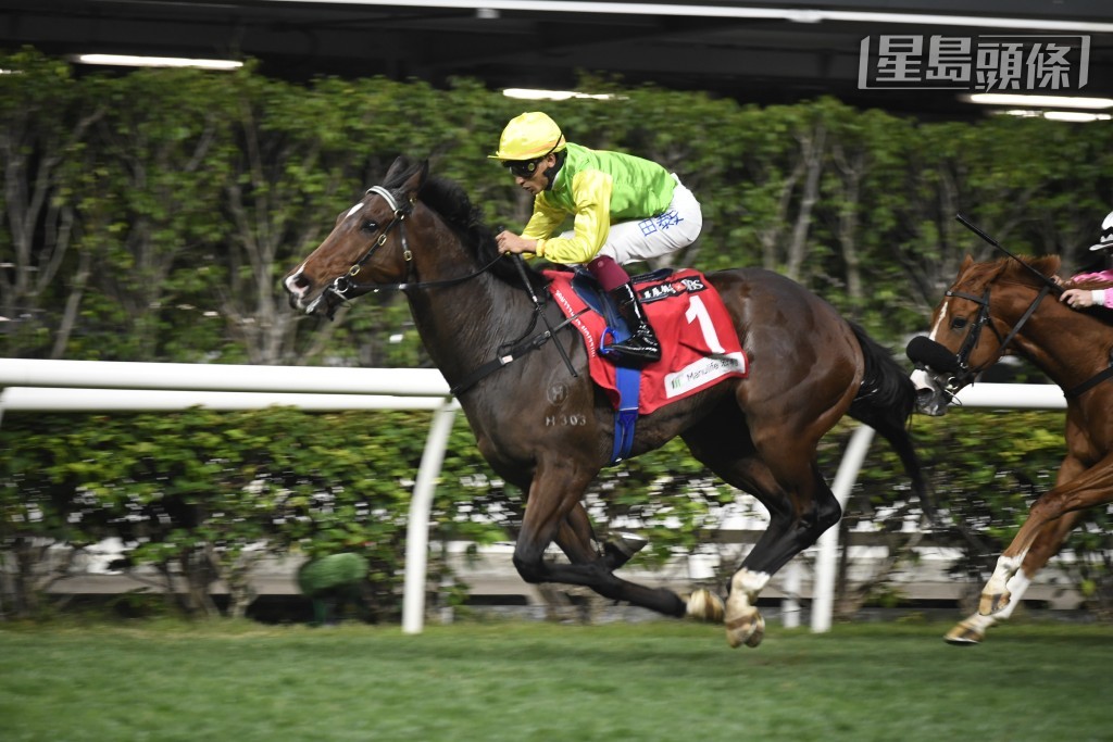「心得」系近年养马运甚佳，其中「好友心得」(图) 及「友爱心得」这两匹现役马，更先后捧走跑马地百万挑战杯，甚为难得。