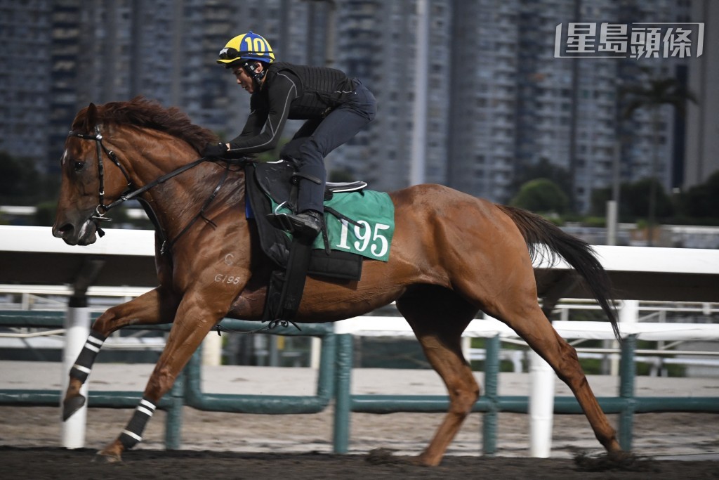 今朝游達榮繼續現身操馬，尤其對「連連歡呼」(圖) 最是肉緊，因同期出跳尚有「交學費」同「澳嘉輝」，然而課後佢只行埋「連連歡呼」身旁。