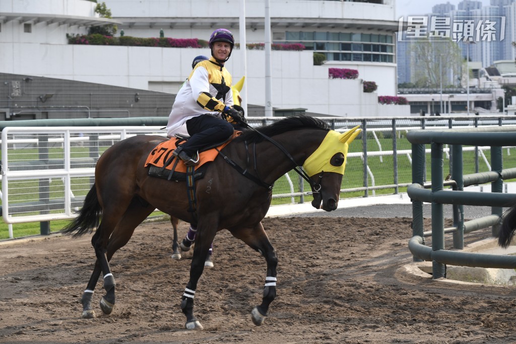 曾炳威儿子的「勤德皆备」明晚跑谷草第四场赛事。