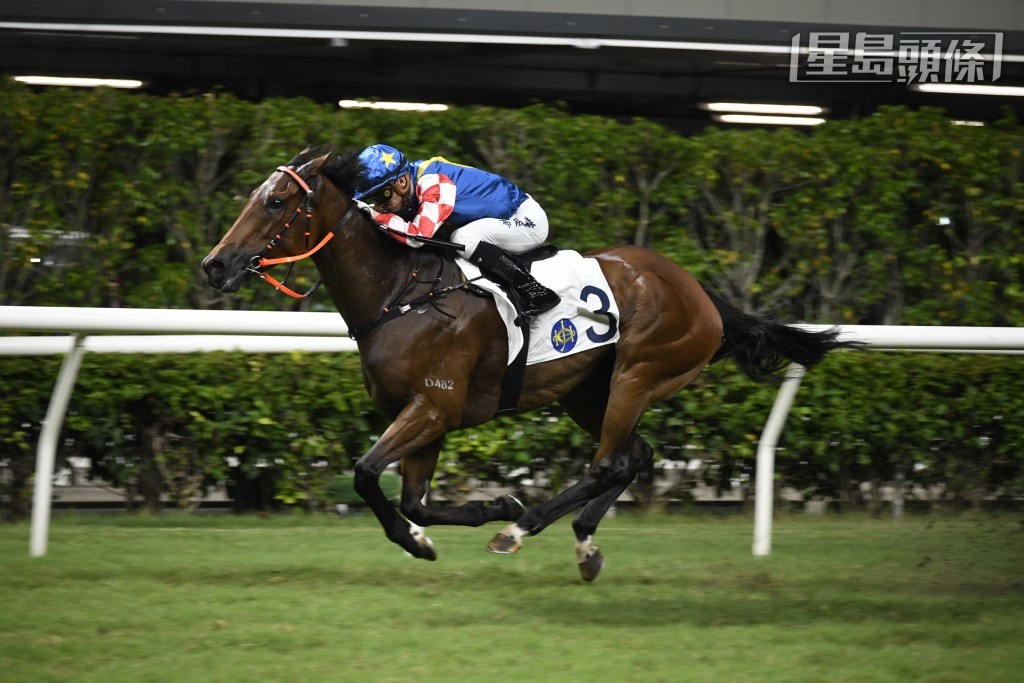 「電訊巴打」同程取得六勝六位，路程專家也。