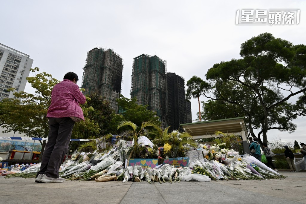 死者當中包括1名消防員、2名裝修工人、5名地盤工人,及10名外傭。 死者當中包括1名消防員、2名裝修工人、5名地盤工人,及10名外傭。