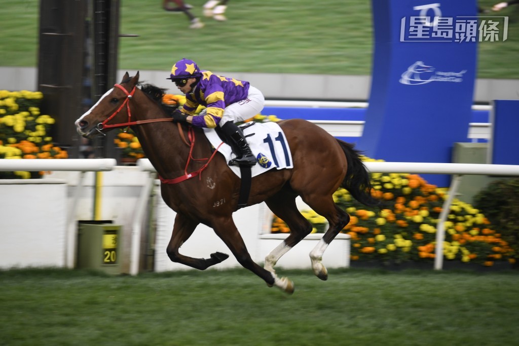 榮智健的「神馳」(圖) 則出戰第八場，相信蔡約翰都希望能為好朋友榮智健及其家人建功。