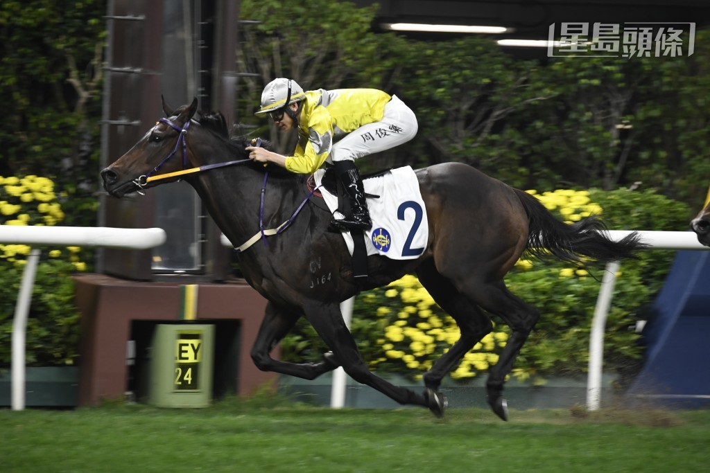 周俊樂當晚暫卜定「時尚風趣」(圖) 及「精妙星」等駒上陣。