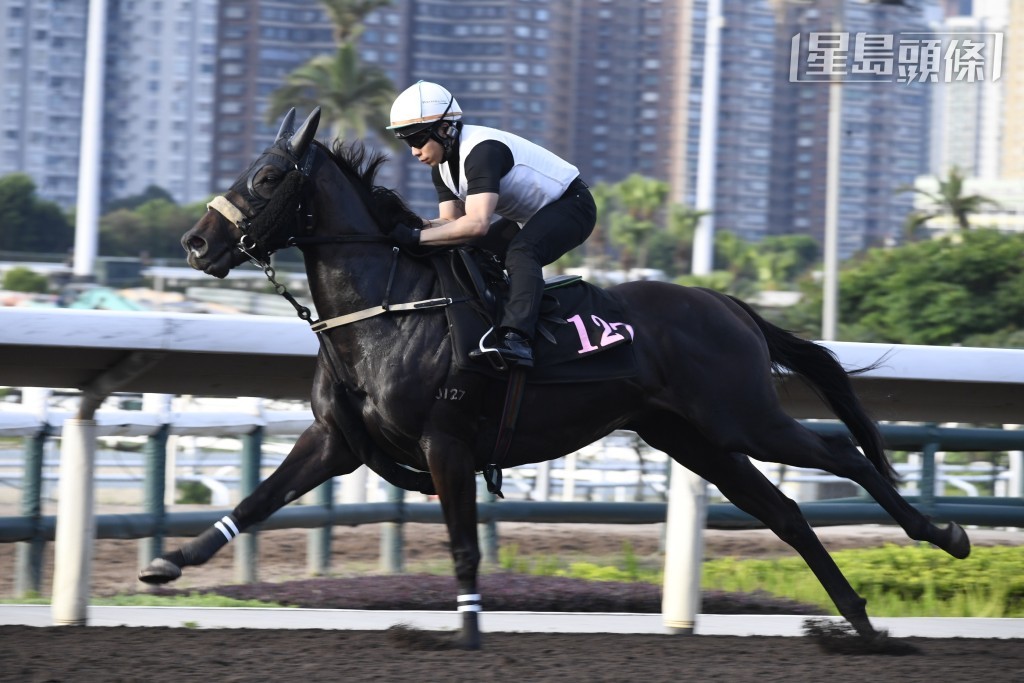 希斯今早對「太陽勇士」格外着緊。