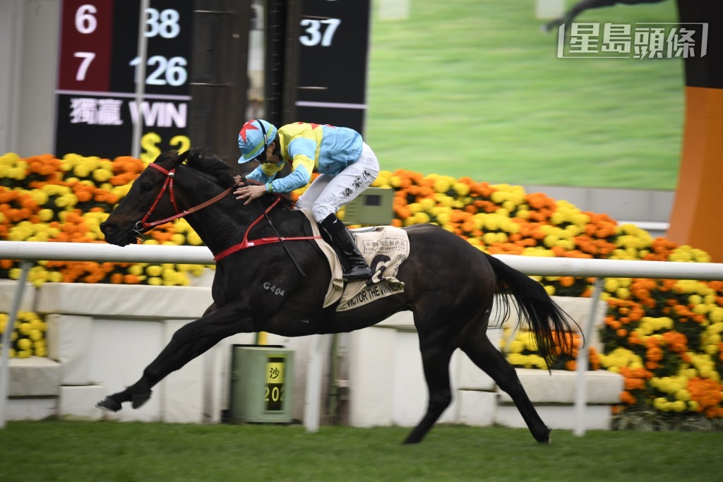 「維港智能」與梁家俊這對人馬組合再度合作，遠征中京競馬場，力爭揚威海外。