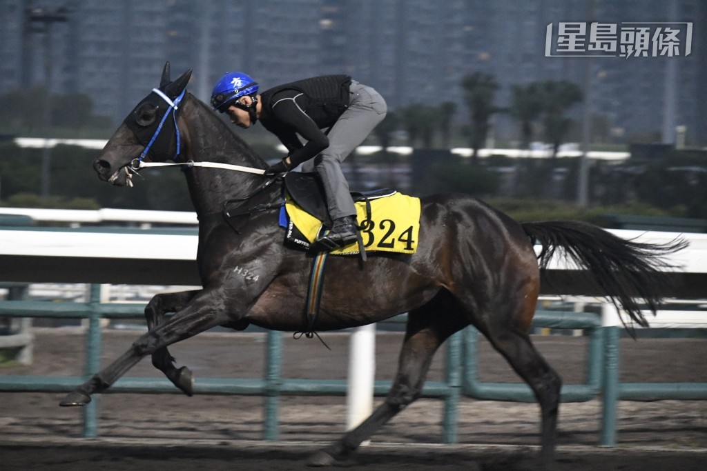 方嘉柏囝囝Ronan拍下「大千氣象」(圖) 整個操練過程。 方嘉柏囝囝Ronan拍下「大千氣象」(圖) 整個操練過程。