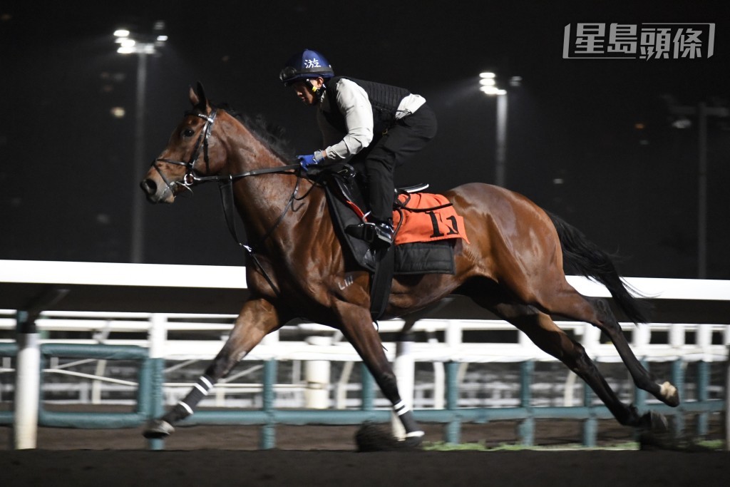 昨朝游达荣甫开操便现身，不久后「腾龙踏雪」(图) 出跳，不论课前课后都跟到实，课后甚至走落隧道底接马。