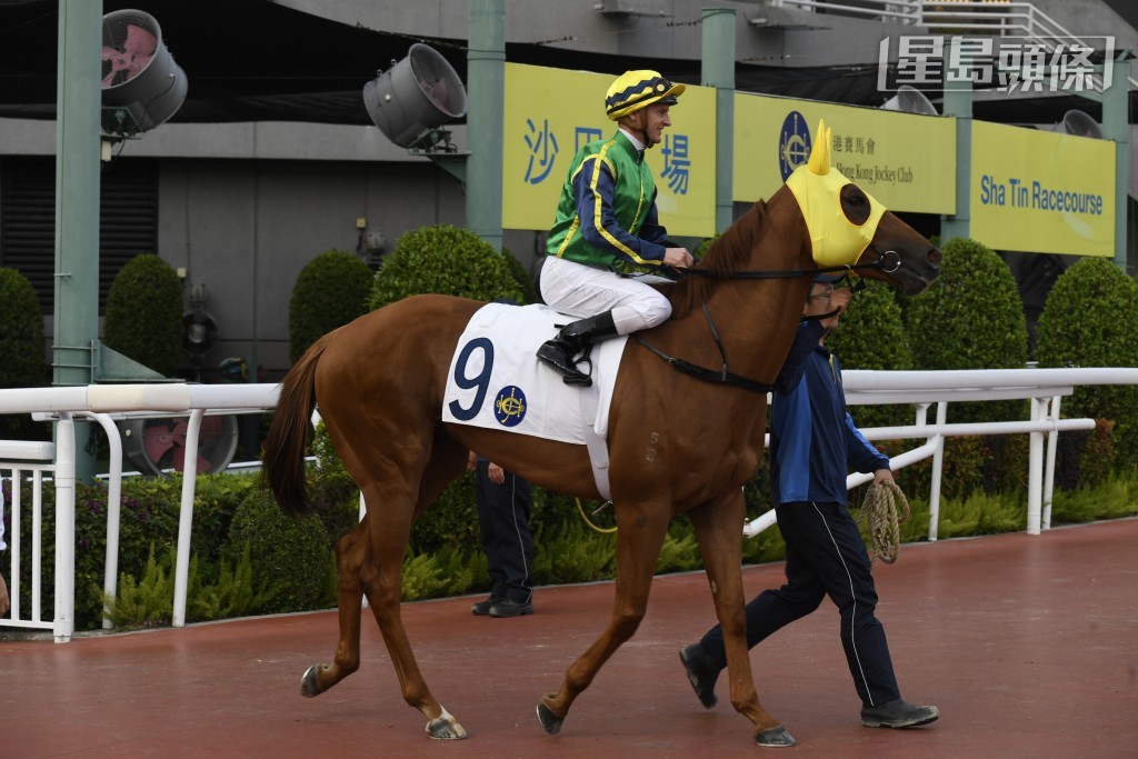 「绿族无限」(图)上场在布文胯下胜出田草千四米，今场帅权由莫雷拉接手；至于布文则为同场的「光年魅力」主辔。 