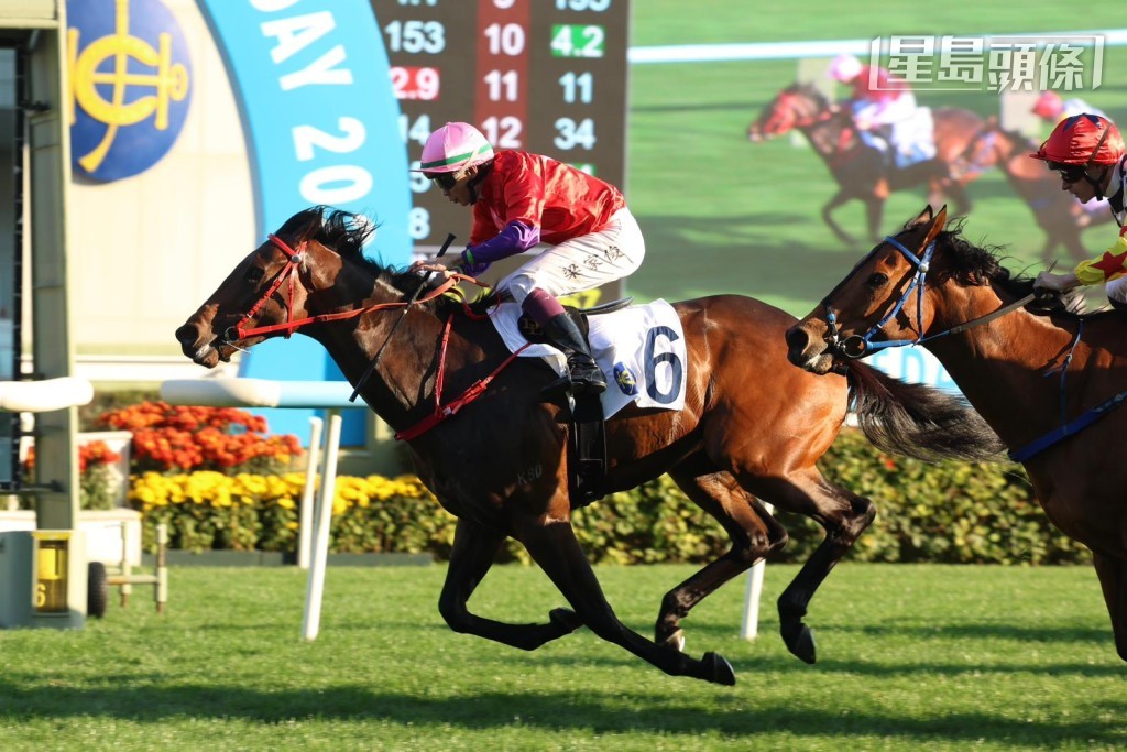 羅富全昨天以「自動自覺」(圖) 和「紫荊盛勢」起孖，為自己送上生日禮物