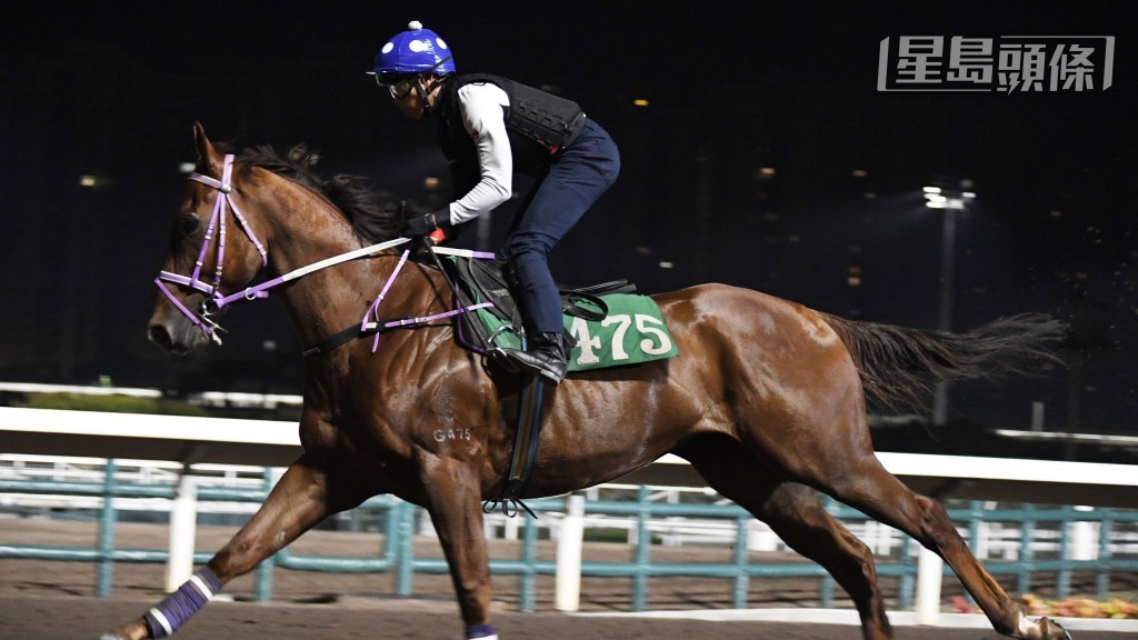 「智勝龍」是何澤堯今早出跳馬中唯一有賽程馬。