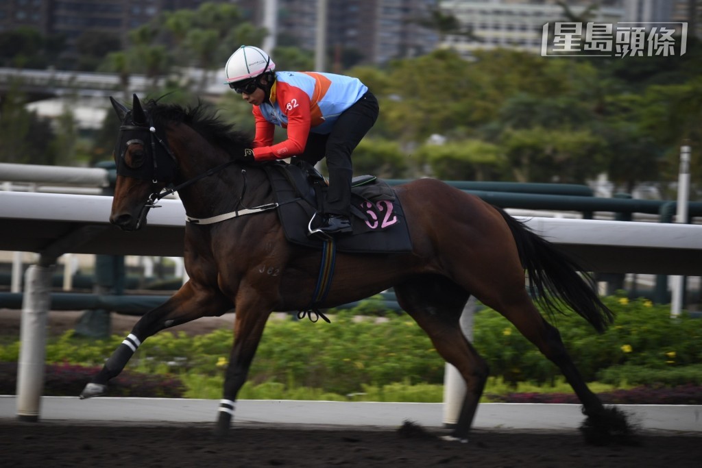 為「嘉應高昇」主操的助手更穿着潘頓自家品牌的「嘉應高昇」綵衣衫，十分搶鏡。