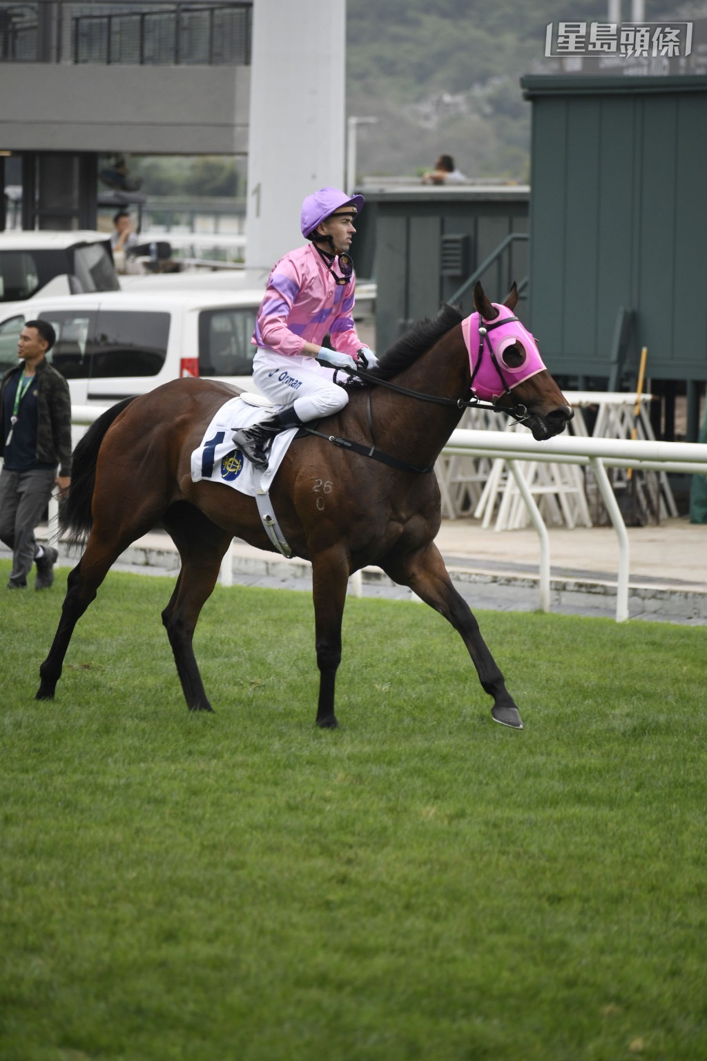 「龍之輝」(圖) 今仗以鄭廄馬身分出戰，角逐強項路程千二米，成績如何？