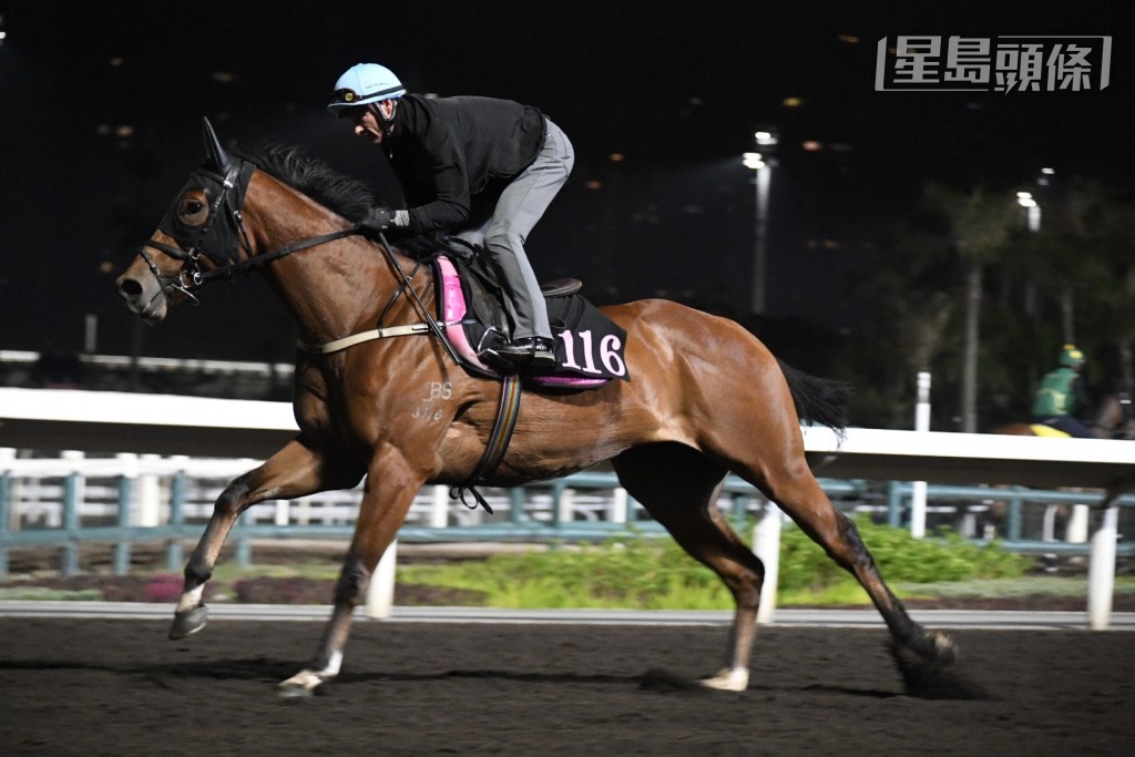 潘頓今朝為第七場四班千二米的「紅錢到」最後試跑。