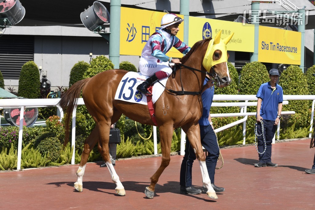 據悉田泰安 (圖) 喜歡「天下寵兒」，希望可以繼續騎此馬，可見馬兒在騎者心目中有一定分量。