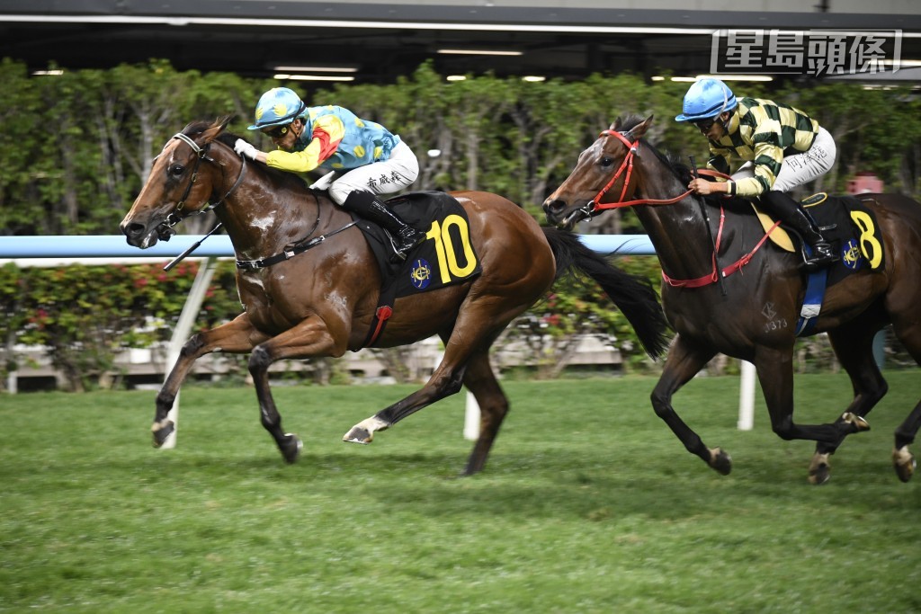 下周三（3月25日）谷草賽事，是黃寶妮傷癒後在谷草復出之戰，當晚她卜定「熒光」、「佳運發」(圖) 及「極速滿貫」。