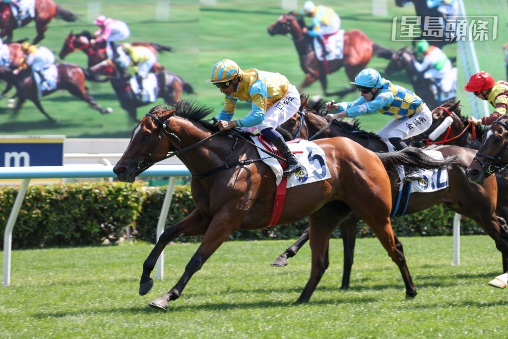 「坚先生」在港一出即胜。 「坚先生」在港一出即胜。