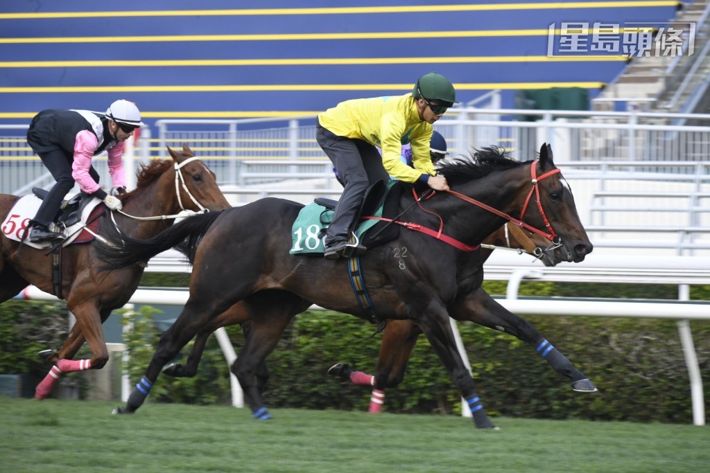 文家良旗下的頂班馬「金鑽貴人」，今早由梁家俊出試草閘，結果以首名過終點。