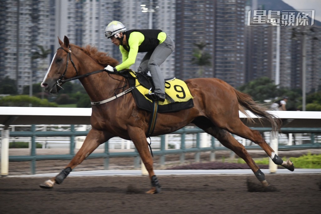 「還看今朝」今朝試跑勁之餘又夠定，狀態弗到無得挑剔。