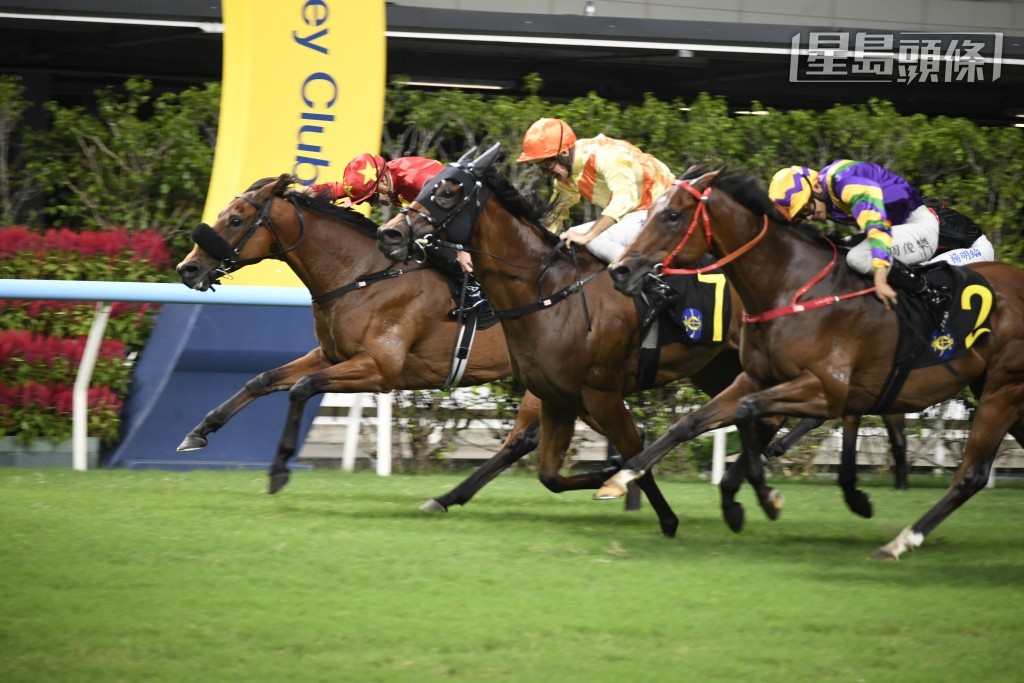 「皇帝英豪」(內) 在今季十月中打開勝門，可惜之後未能重敲勝門，馬主希望轉換環境，為愛駒尋求突破，周三晚轉廄後首戰，且看能否再有接近的演出。