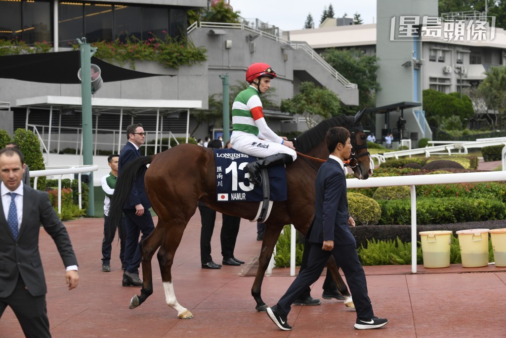 去年「匯兩川」(圖) 在香港一哩錦標以兩又四分三馬位落後「金鎗六十」跑第三。