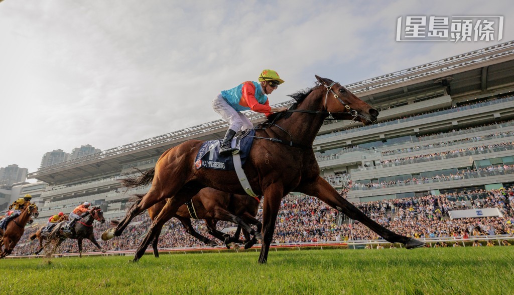 「嘉应高升」这匹大卫希斯的镇仓宝今仗力争十六连胜,赔率料将再次热得令人却步。 「嘉应高升」这匹大卫希斯的镇仓宝今仗力争十六连胜,赔率料将再次热得令人却步。