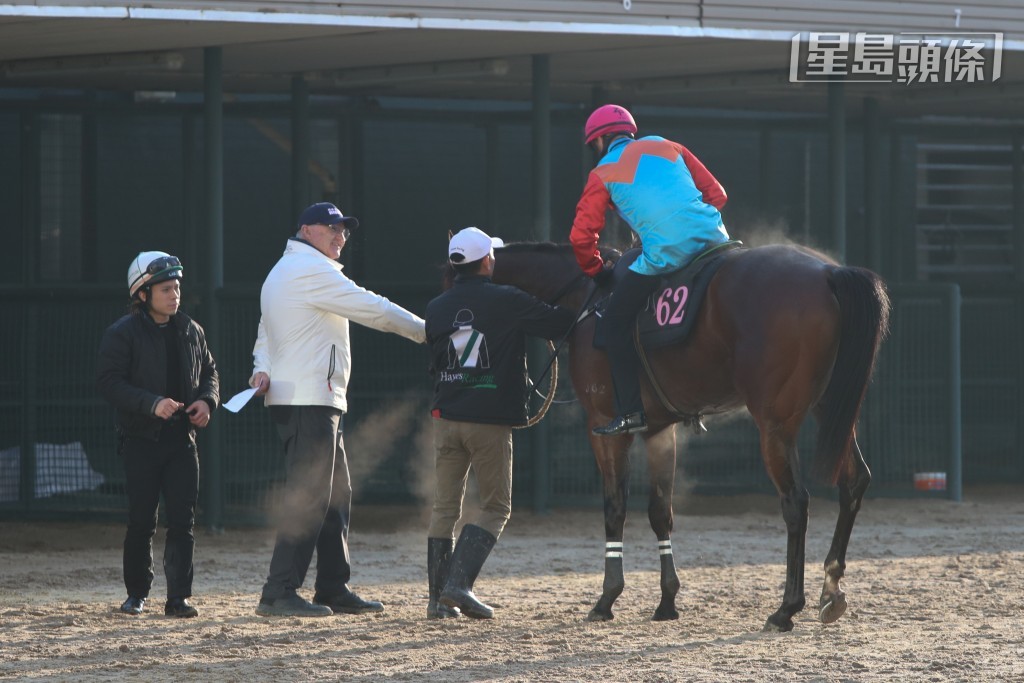 「嘉应高升」在沙田试闸完毕后返回马房。
