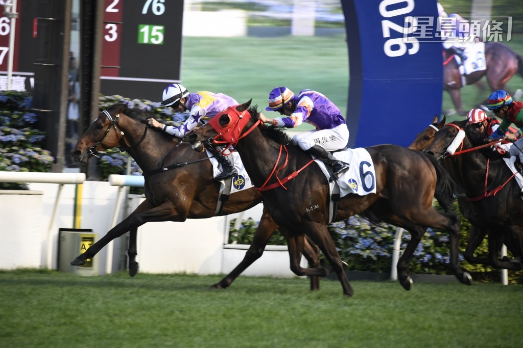 周俊乐的其他坐骑有「玩笑」、「同心同梦」、「荣骏大道」(外)、「文明战士」、「观万物」及「韦少宝」。