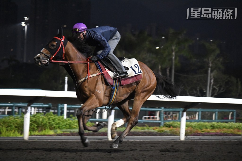 「浪漫戰神」(圖) 戴頭罩由潘頓跳兩段，一貫漫不經心，步順馬身夠輕，論態對辦。