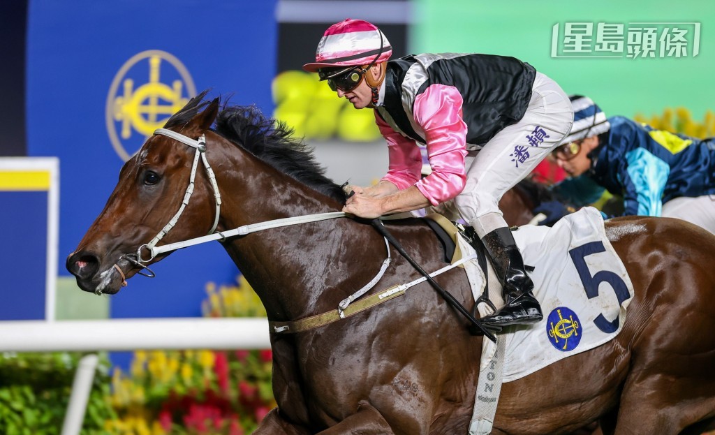 潘頓正在物色香港經典一哩賽的坐騎，他將在週日沙田賽事策騎「美麗星晨」上陣。
