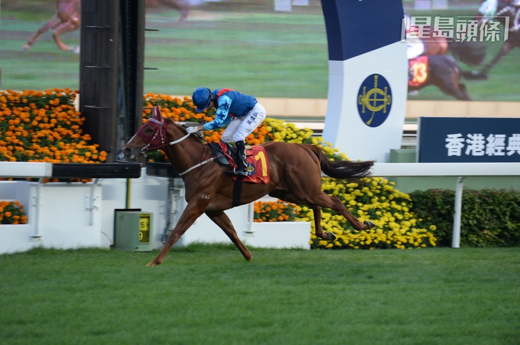 洪祖杭養馬多年，最威水自然是養有前馬王「佳龍駒」，攻下不少大賽。
