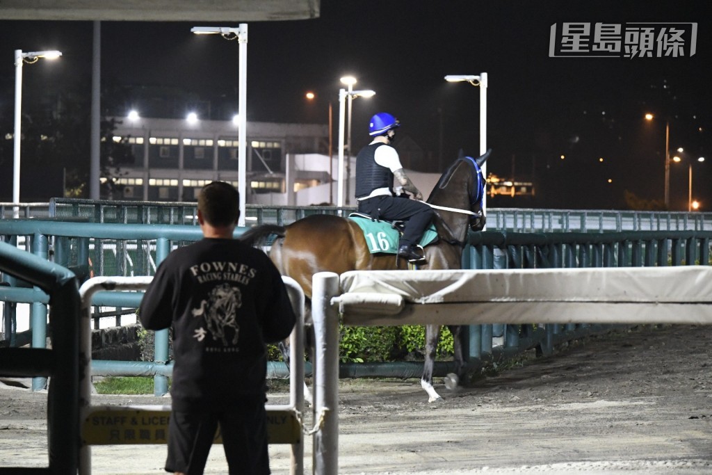 今早沙田晨課，當「鈁糖武士」(G016)準備出全天候跑道快跳時，方嘉柏立即從烽火台走出欄邊睇實。