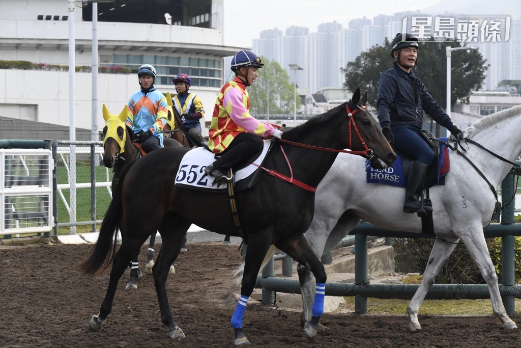本周日大年初六，鄧仿淇另一匹愛駒「日出東方」(圖) 將列陣第一場四班一千米。