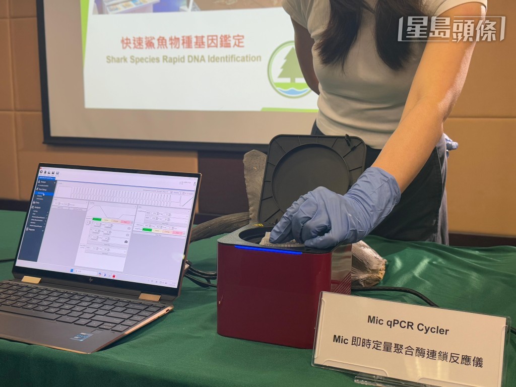 已加入測試劑的樣本會放入反應儀內，每次可檢測48個樣本。
