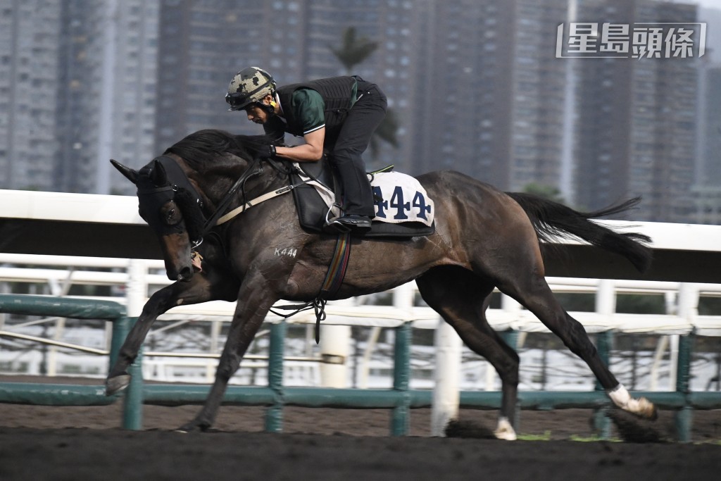 「凝妙星」助手跳一段，少许急口但接受操控，马身胀卜卜勇况已备。