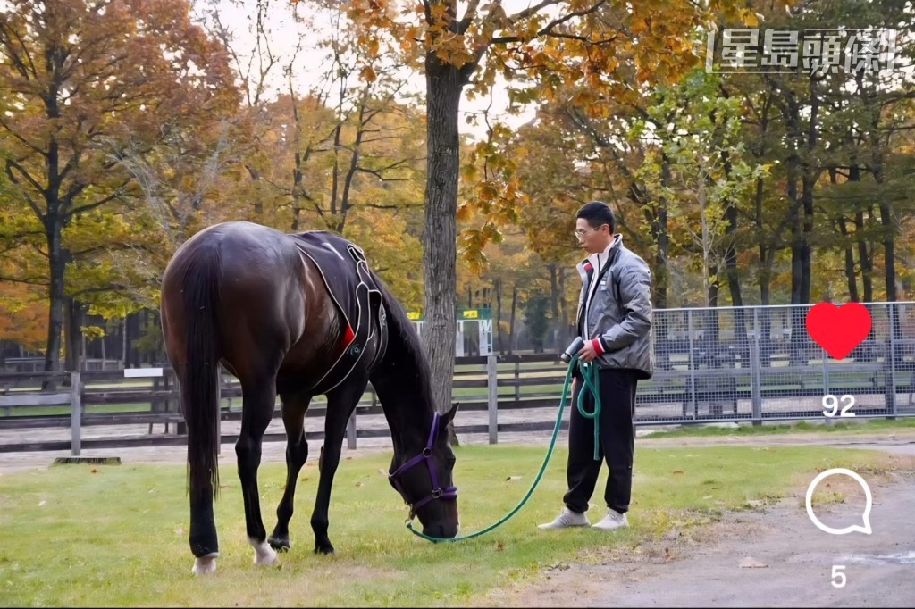 三屆香港馬王「金鎗六十」目前在日本北海道北方牧場頤養天年，何澤堯數天前飛去當地探望「金鎗六十」。(相片和短片截圖來源： 馬主陳家樑提供，IG @mogutaro_umauma )